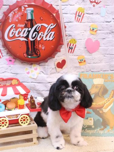 20230905たいがくん